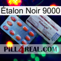 Étalon Noir 9000 36